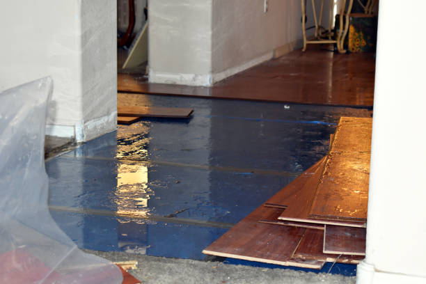 Professional Water Damage Restoration technician working in Arcadia, LA